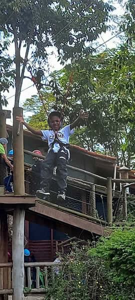 Bicho Mania 2022